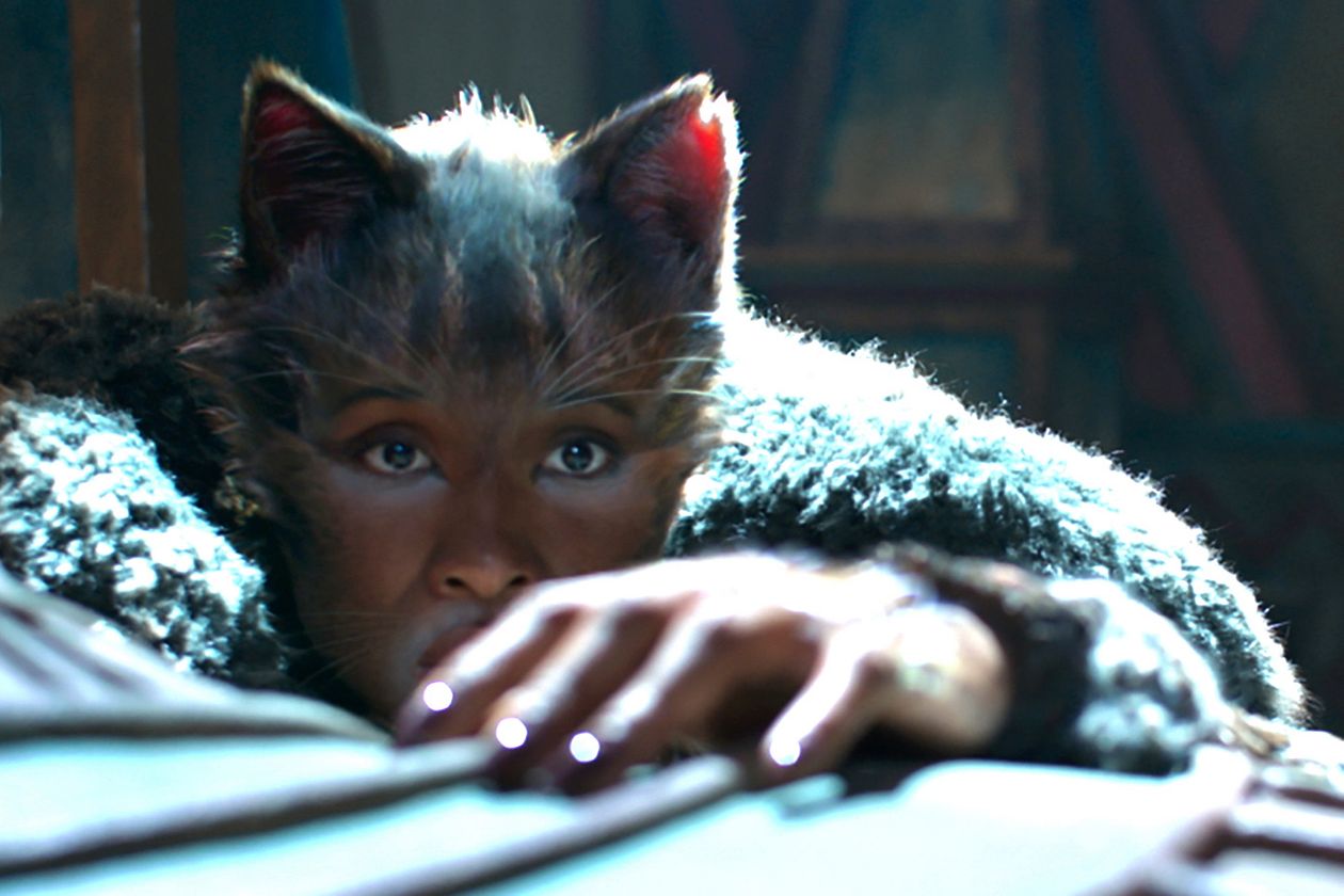 A fickle cat case study solution 03 picture